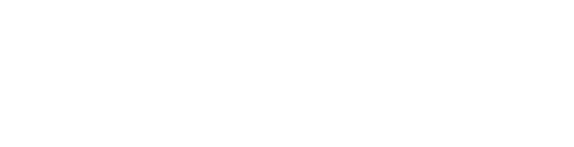 Selektrio GmbH Logo